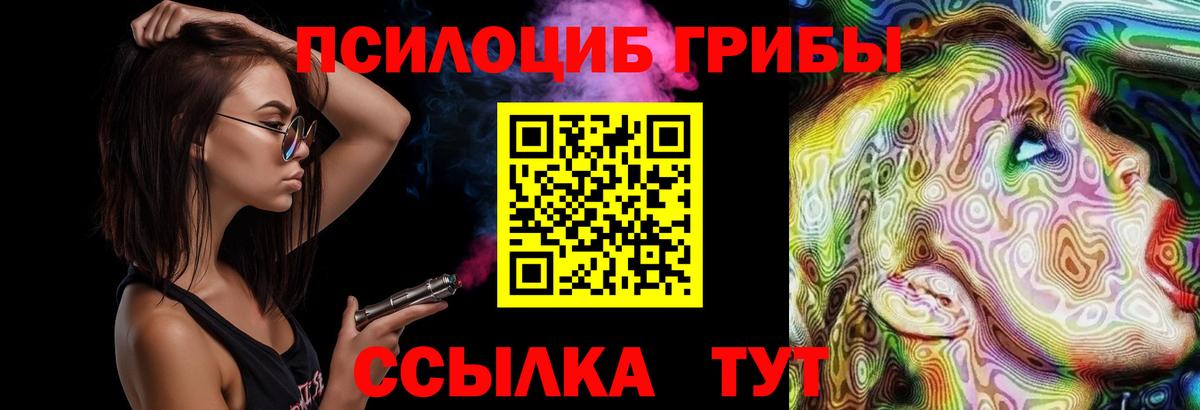 Галлюциногенные грибы Cubensis Комсомольск-на-Амуре